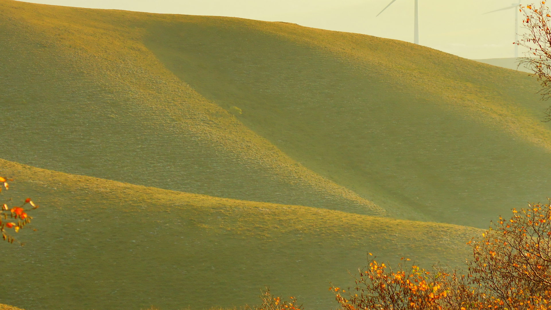 京北第一天路千松坝国家森林公园,千松坝森林公园和京北第一天路
