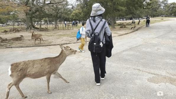 2012年4月日本关西五日游记,流水账式旅行vlog济州