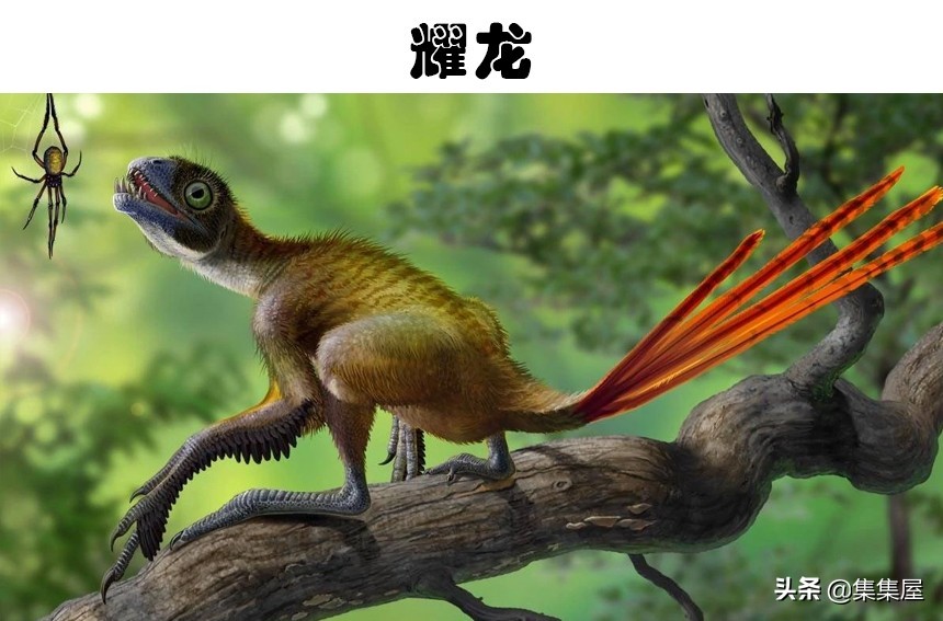 最有特点的十种恐龙介绍,世界上目前发现的最强的恐龙