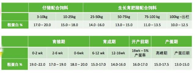 饲料厂家如何运作,饲料公司专用饲料配方