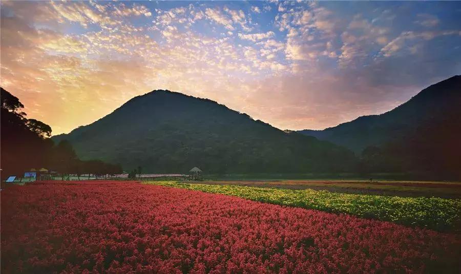 宜居宜业旅游攻略,广州从化的宜居小镇