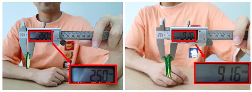 吃一周蔬菜沙拉能瘦几斤,连吃五天苹果能瘦多少斤