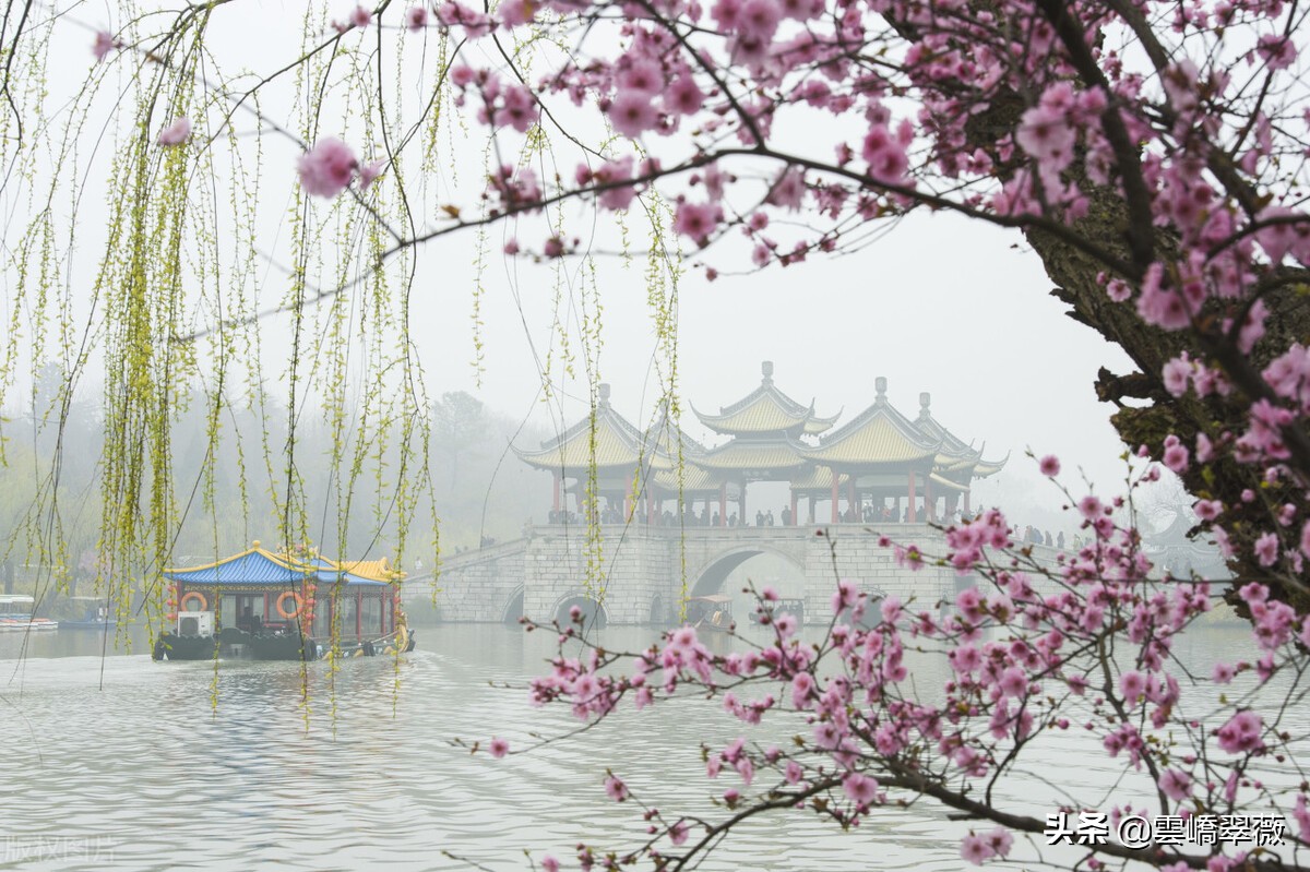 徜徉花海之中,徜徉花海芬芳馥郁