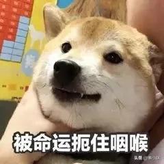 福医大上学怎么样,我劝你千万不要惹学医的女生