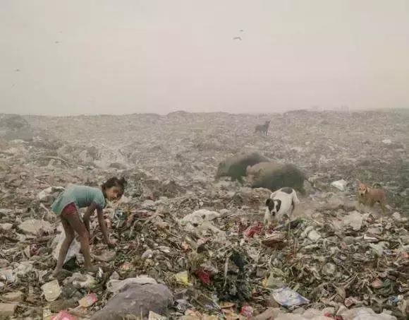 生僻字是抖音什么时候火的,抖音最火生僻字怎么唱