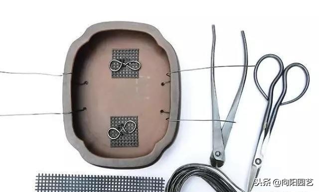 盆景花盆自制,盆景自制教程视频