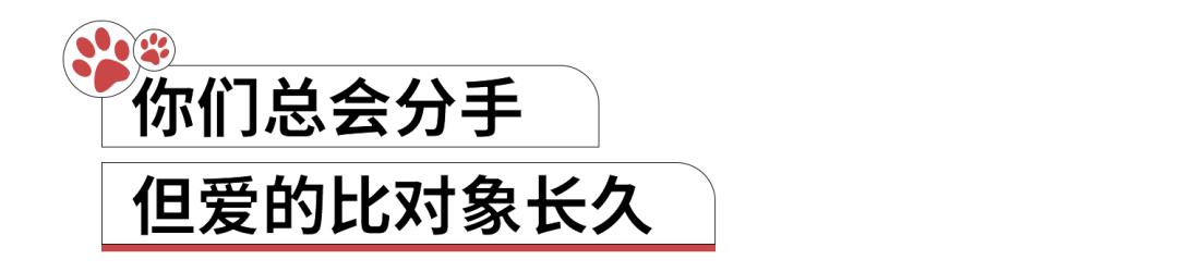养猫人哭了 (朝九晚五适合养猫吗)