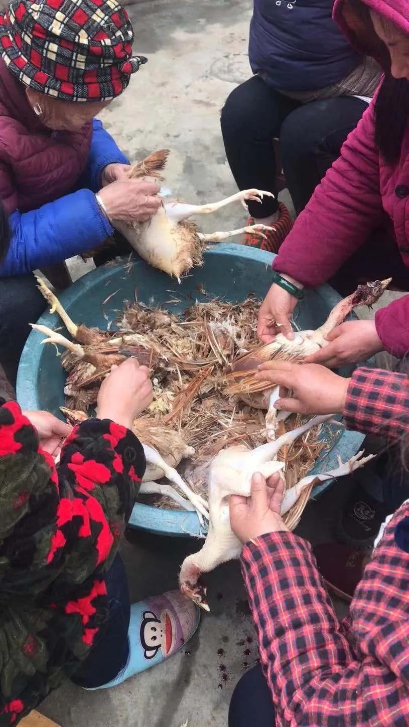 17口人吃了500斤大米被困,四川18口人一天吃多少