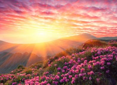 甲友交流——与甲癌共舞静待生命的灿烂