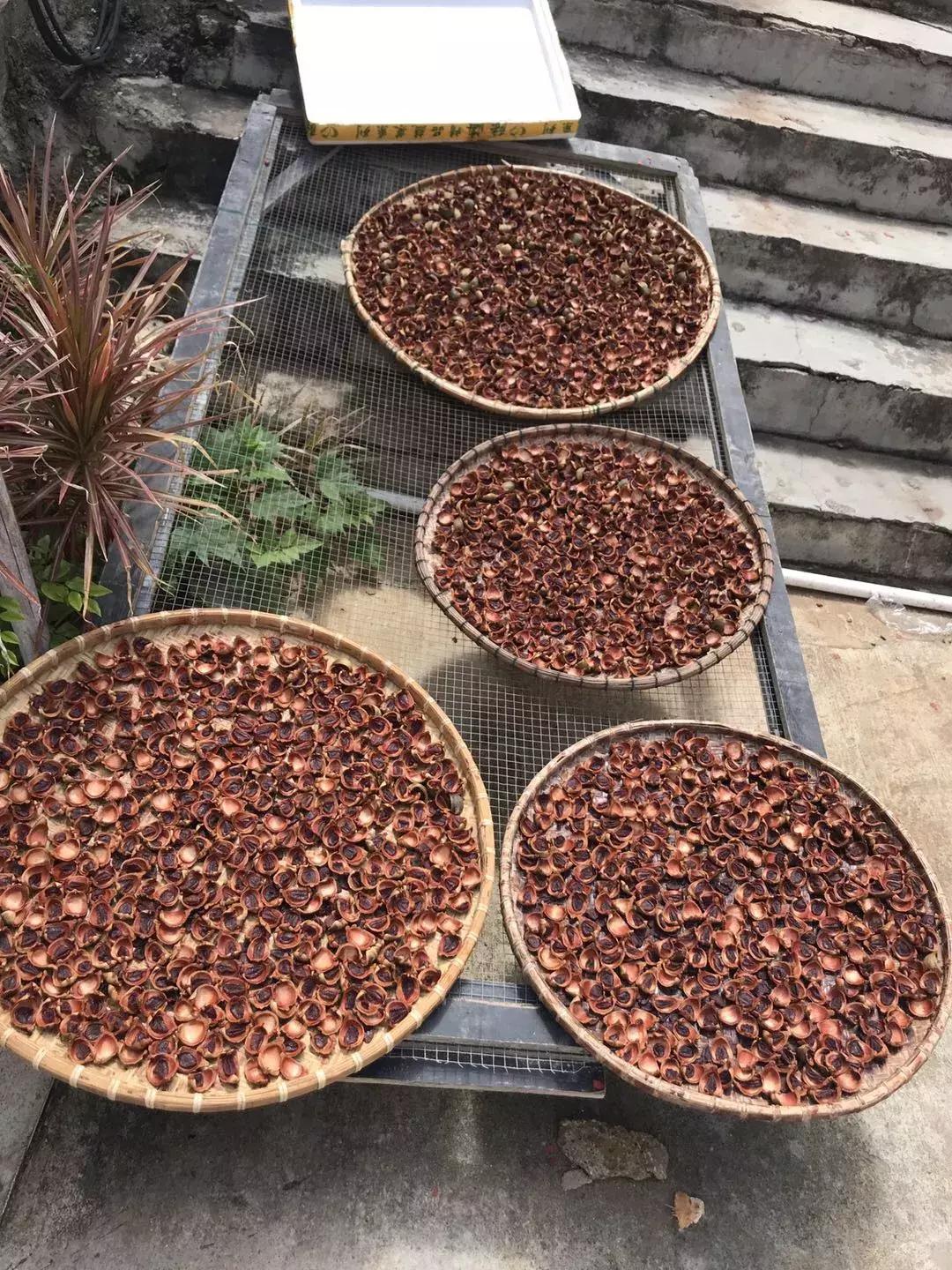 红塘湾马岭,三亚市天涯区红塘湾地图