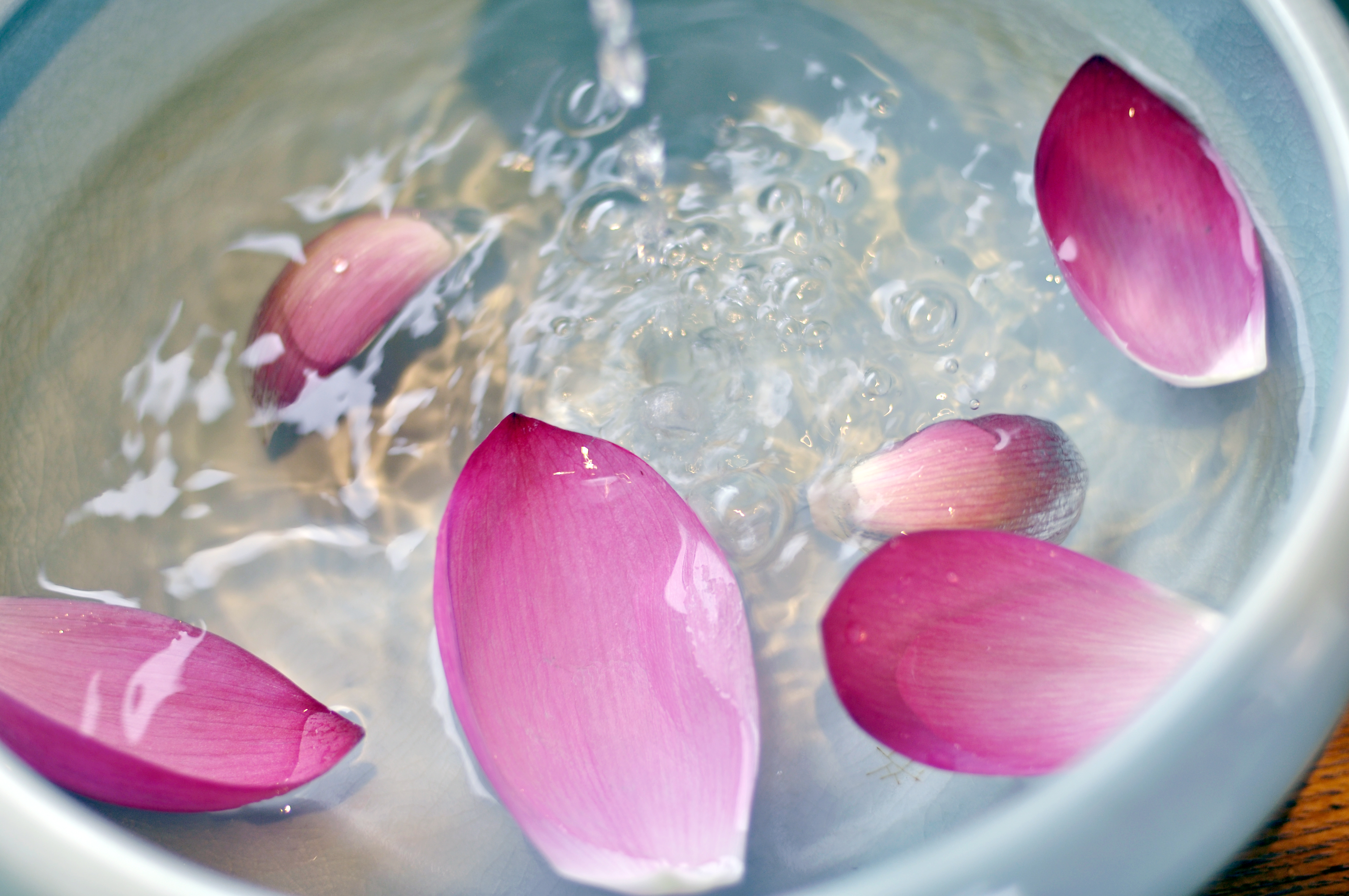 【读书会所】煜美人重启,喜欢诗酒花茶的朋友,来这里相约吧