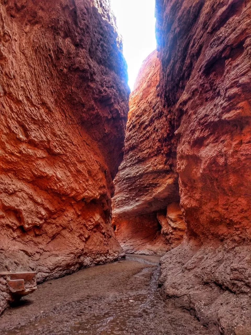 涓嶈兘鍘诲鍦扮殑鐞嗙敱,浜旂浜轰笉鑳藉幓鐤嗗唴鏃呮父