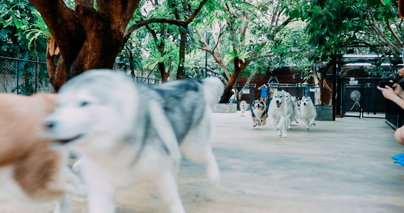 多次曼谷,整理了这份美食攻略,曼谷怎么吃,戳进来