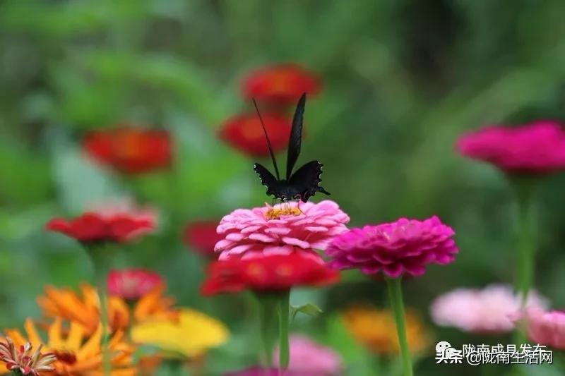 我叫成县，这是我2019年的自拍照