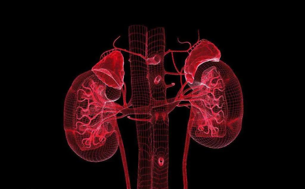 鍠濇祿鑼惰В閰掗ギ鑼跺墠椤荤煡閬撶殑鐭ヨ瘑,娴撹尪瑙h尪鏂规硶