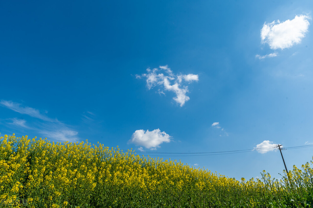 男女之间互相称呼的正确方法,恋爱中男女如何互相称呼