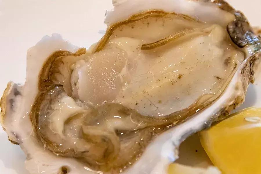 上海788元的海鲜自助到底值不值,上海海鲜自助第一名