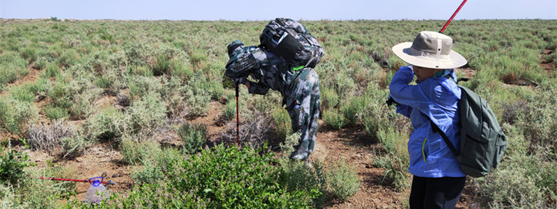 徒步西藏敦煌攻略,徒步走敦煌莫高窟