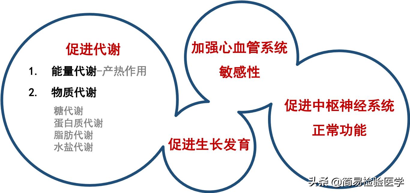 外科甲状腺疾病的思维导图,一秒看懂甲状腺报告单趣味讲解