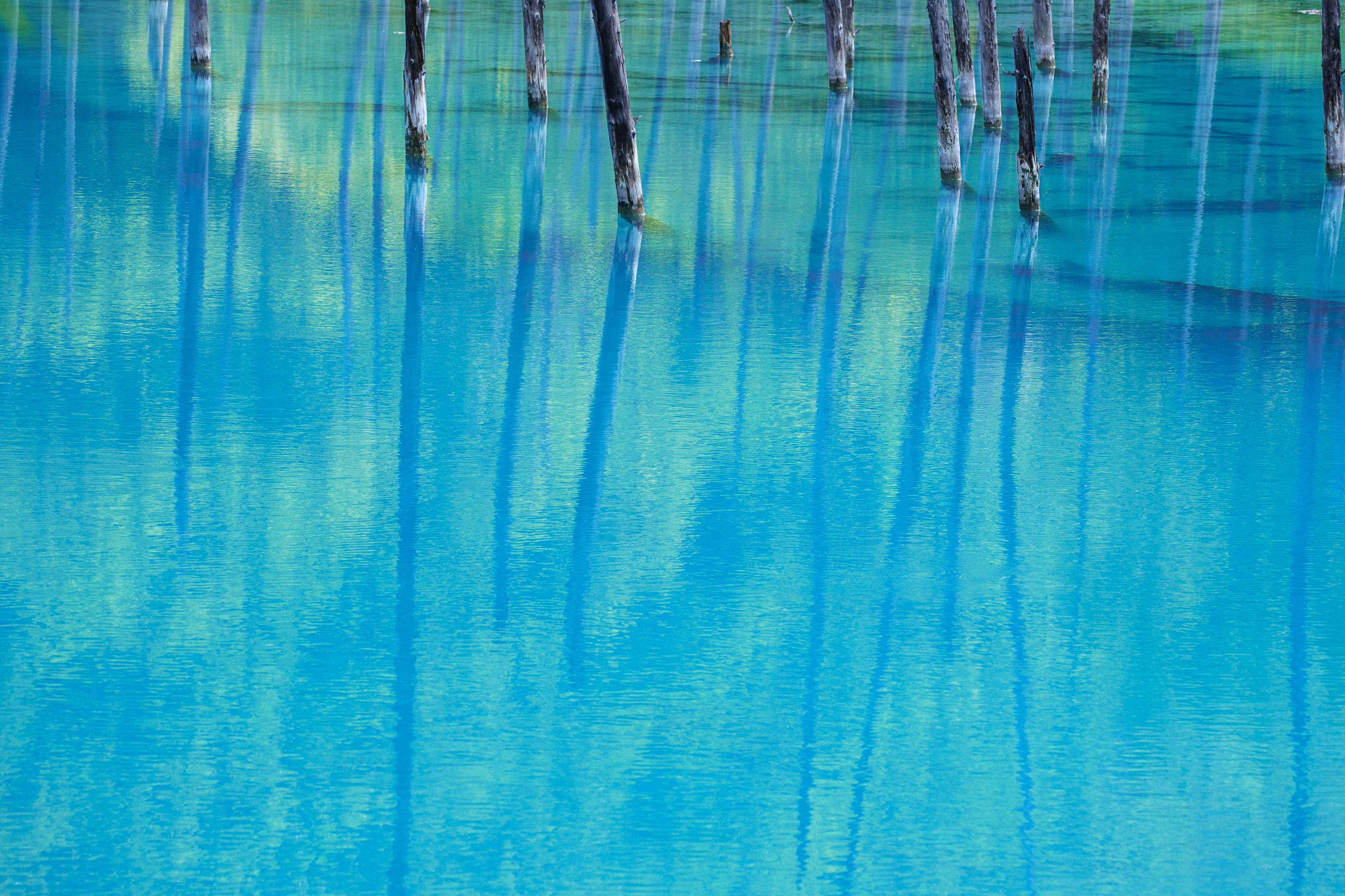 适马90f2.8和索尼90微距对比,适马20mm1.8广角镜头评测