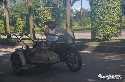 玩家老卢训练山鸡当“诱子”，谁劝都不肯放弃，直到堂弟出面