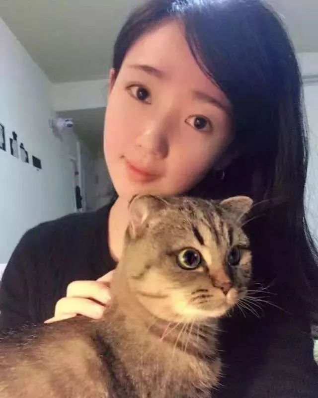 一个人养猫有什么烦恼,一个人生活养只狗靠谱吗