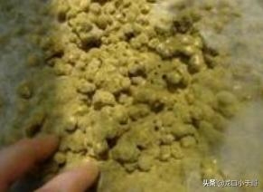 农村土法做黄豆酱需要晒干,河南中牟土法自制黄豆酱的全过程