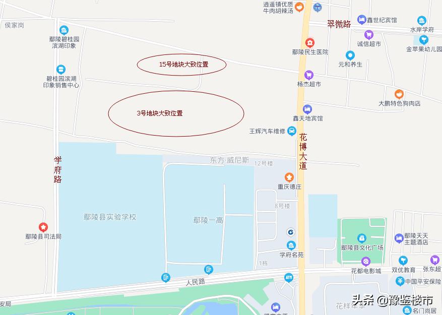 鄢陵土拍2019,鄢陵土地最新拍卖