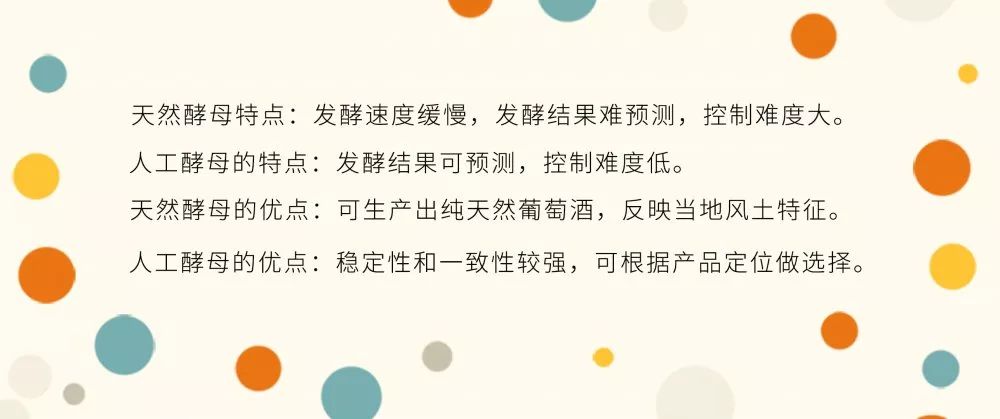 怎么买甜葡萄酒,葡萄酒买干红的好还是半甜的好