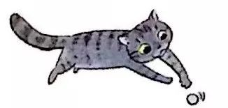 猫咪如何检测猫瘟,猫咪致死性疾病