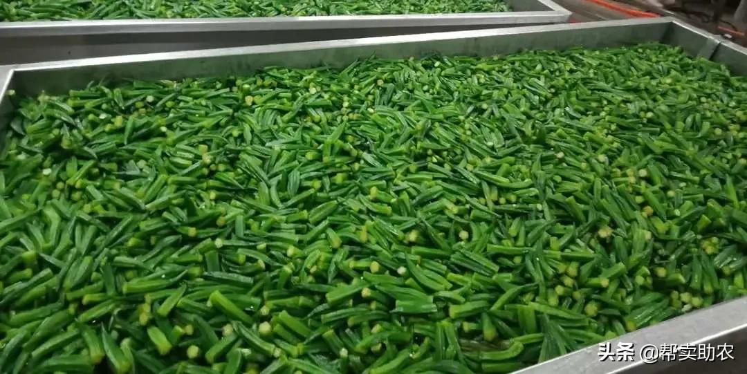 帮你扔掉垃圾食品！健康营养的综合果蔬脆，12种口味征服你味蕾