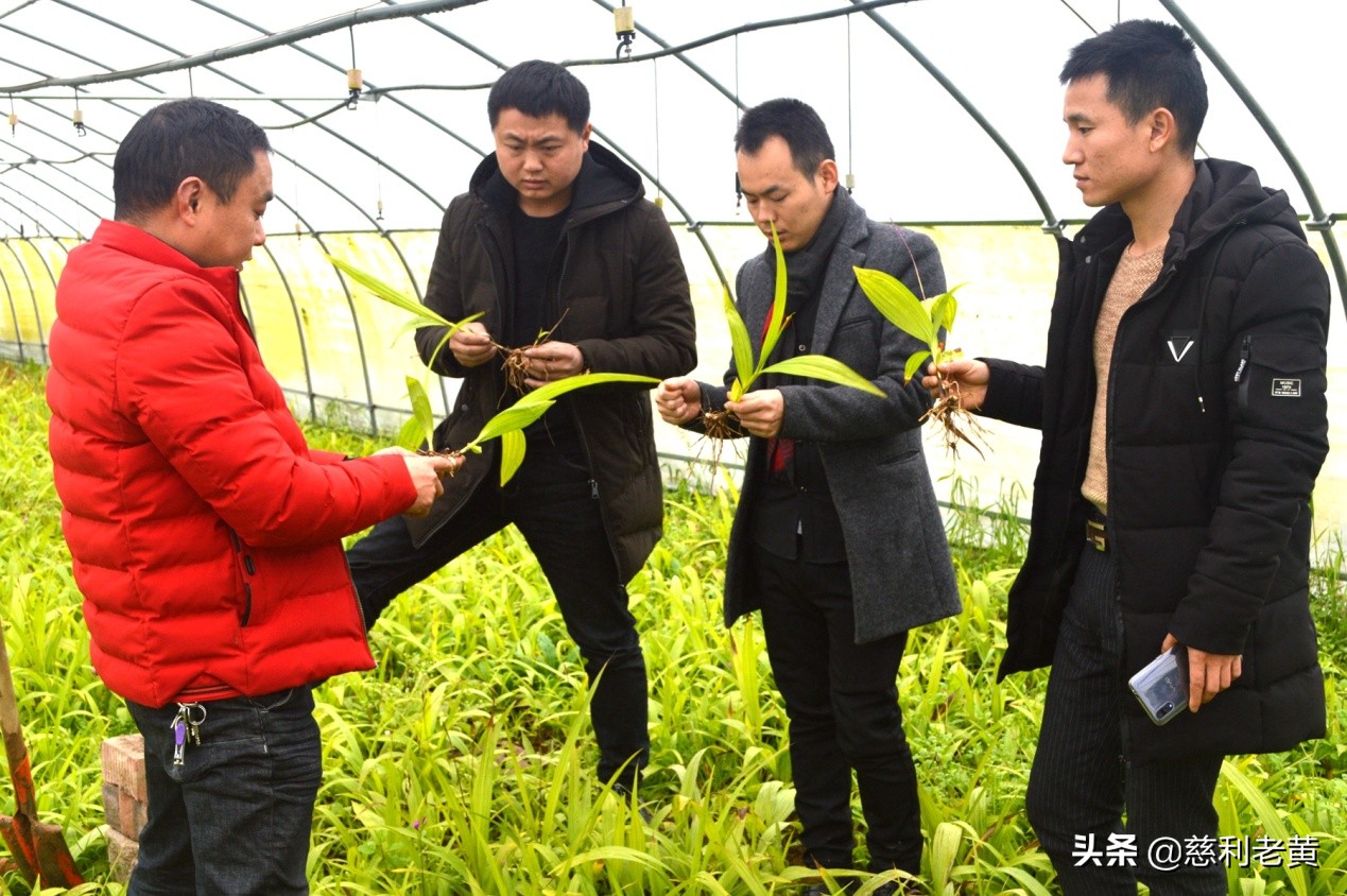 李文辉创业,李文辉生涯规划