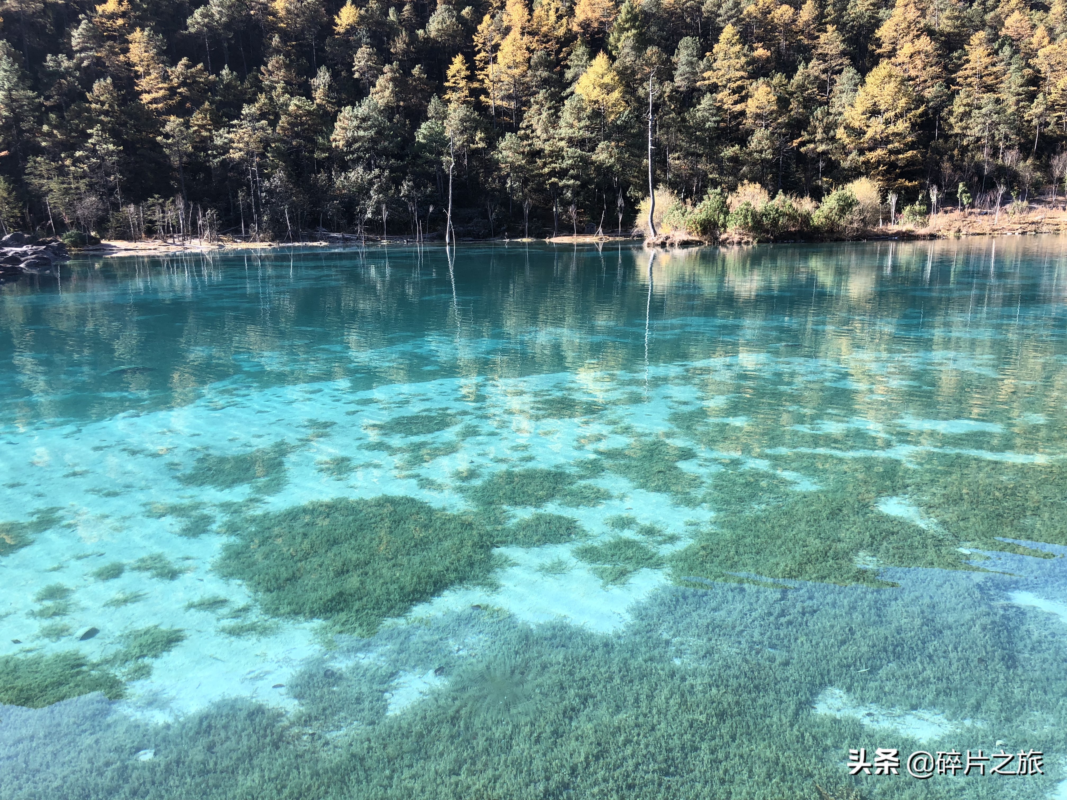 云南九日游纯玩团,云南九日游最佳路线