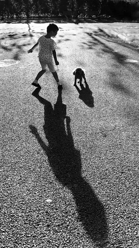 赞别人拍的照片,你用手机拍过哪些最美的照片