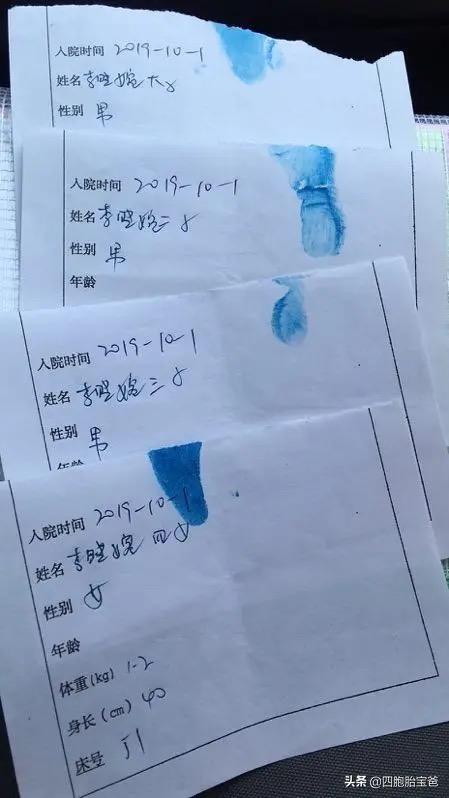 国庆四胞胎名字,4胞胎老三改名字