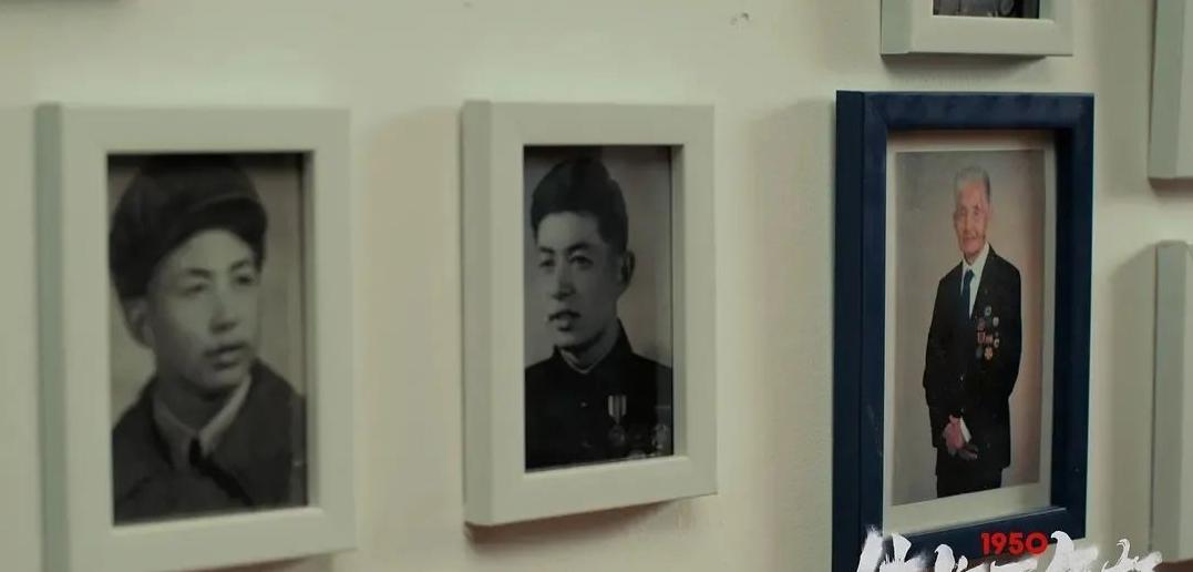 1950他们正年轻纪录片解说,纪录片1950他们正年轻