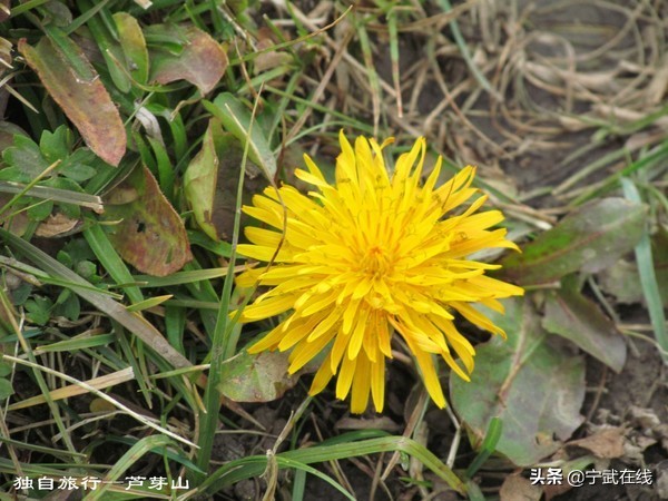 宁武芦芽山悬崖栈道,太原出发芦芽山马仑草原自驾路线
