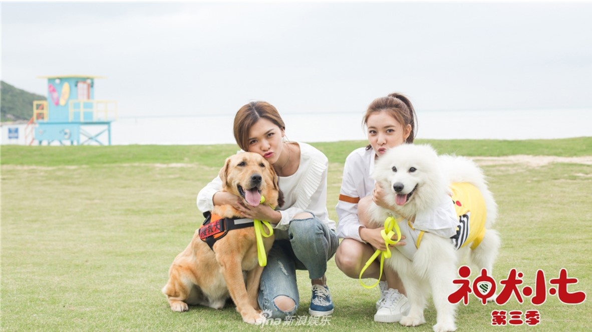 海南不止只有三亚，去万宁玩个冲浪，还有神犬小七拍摄地等着你