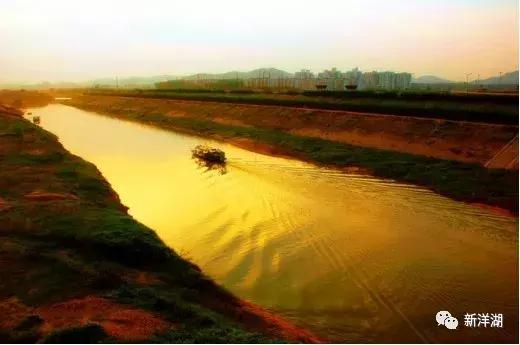 长沙洋湖发展历程,长沙洋湖湿地的历史
