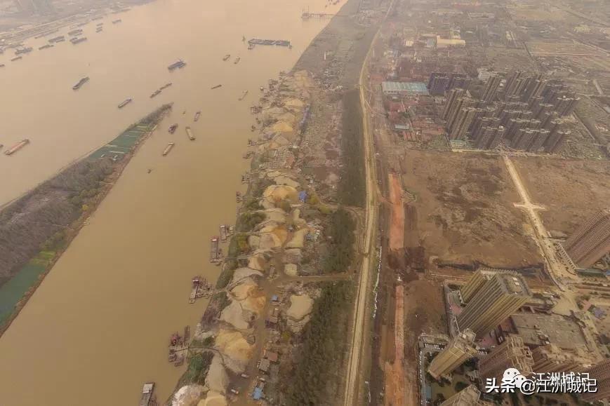 芳草萋萋汉水边,杨泗港大桥江滩公园网红打卡地