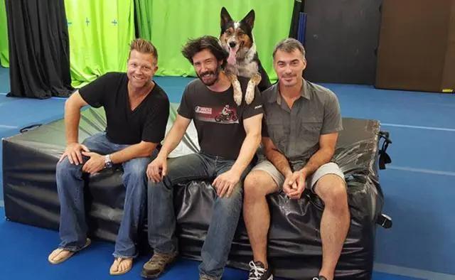 好莱坞风格武侠电影,好莱坞帮派风云