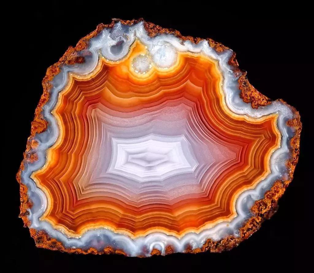 快来围观石英家族,颜值爆表