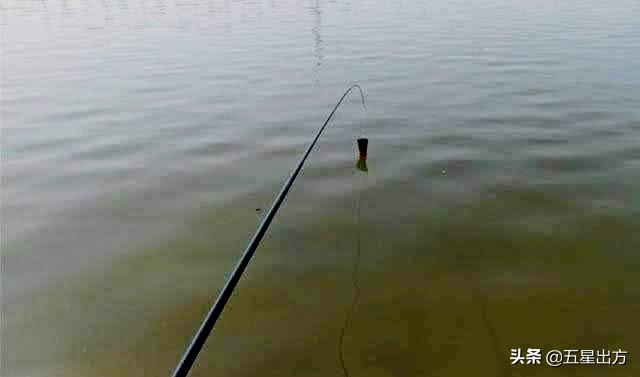 垂钓打窝打在什么位置,垂钓窝子