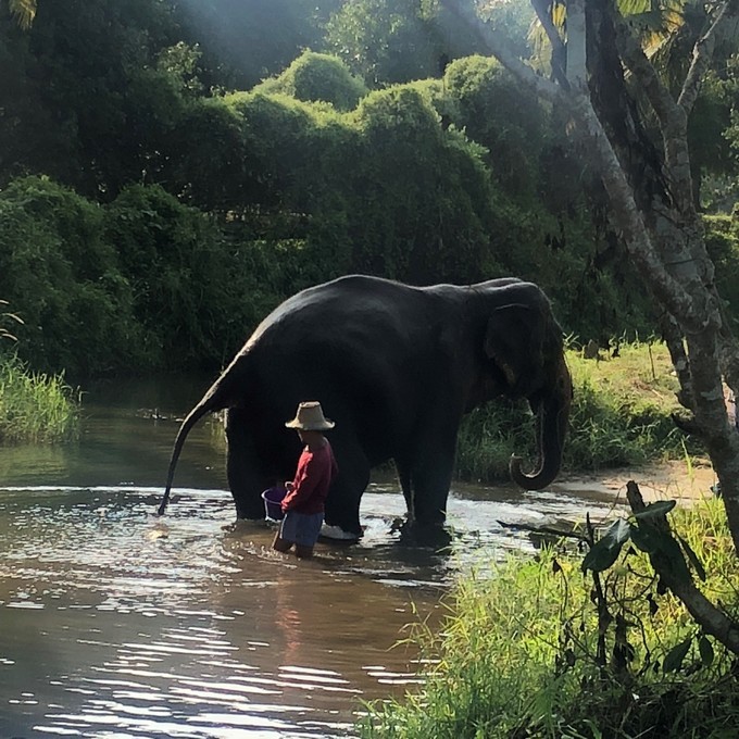 泰国五日四夜自由行攻略,泰国十大自由行攻略