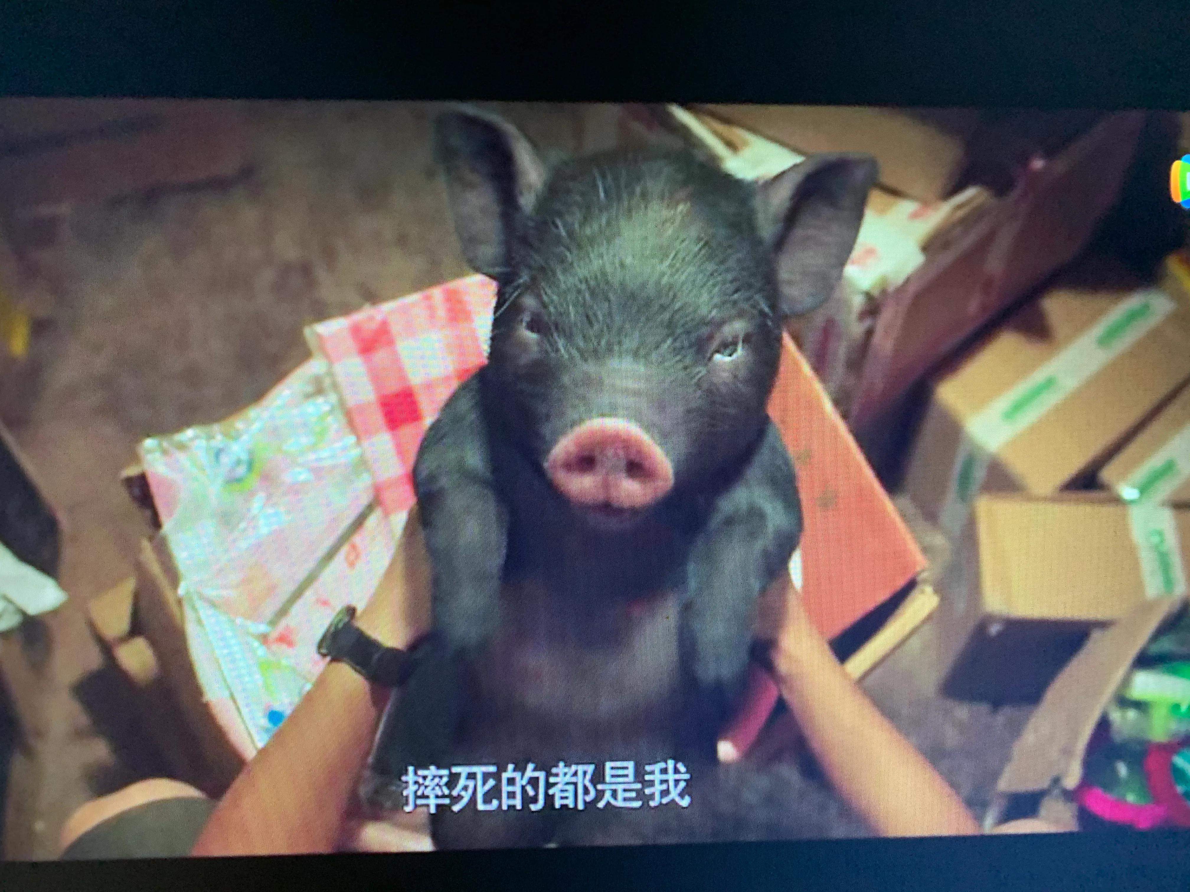 一点就到家的利他思维,一点就到家的创业看法