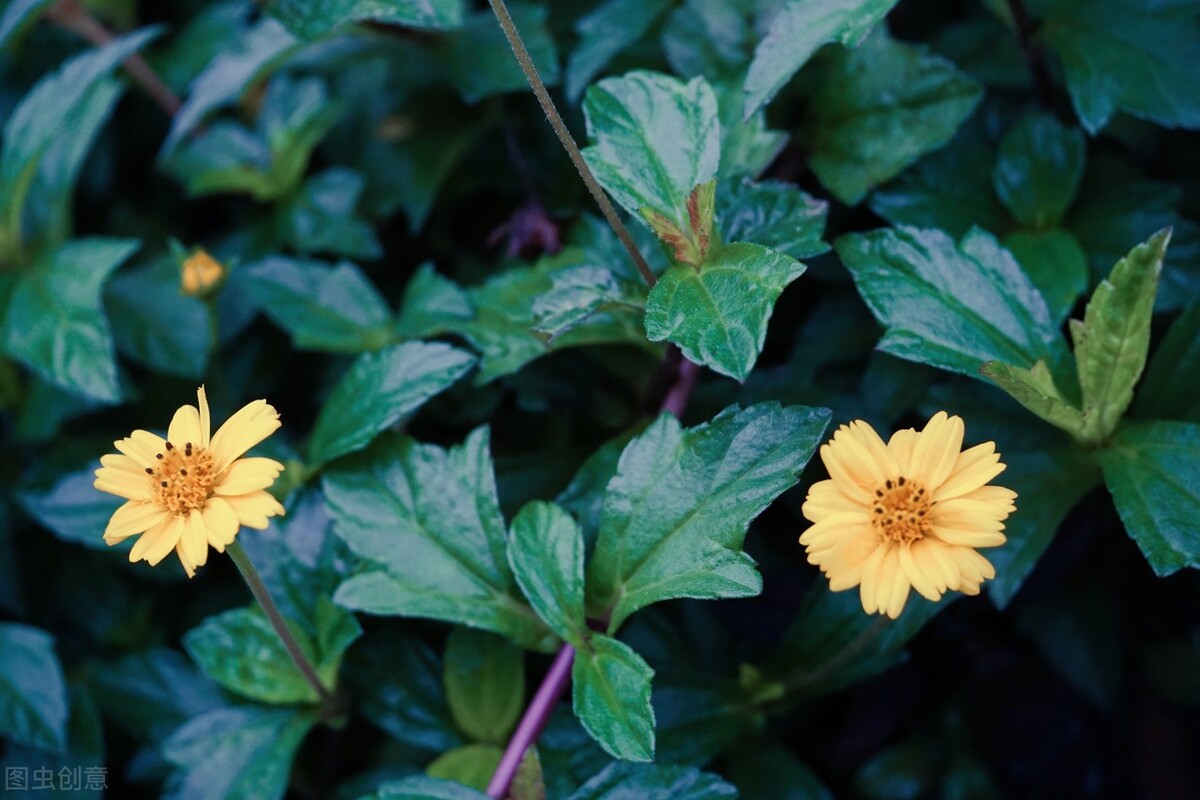 呼吸着的每一个瞬间，都要去过真正想要的生活