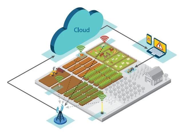 拼多多种咖啡、京东养猪、亚朵卖起了茶,互联网改造了农业什么?
