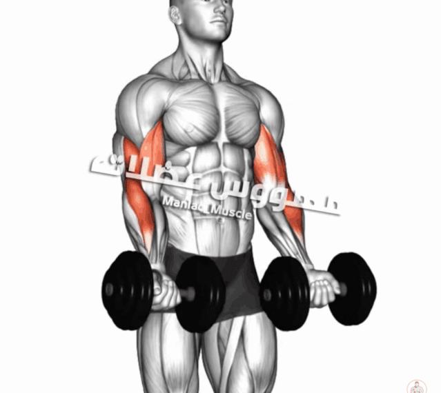 怎样对手腕进行抓握训练,如何让手腕更灵活练习抓握能力