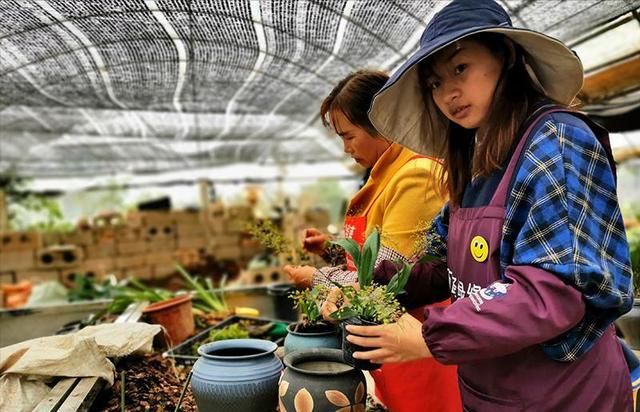 大叔种5亩麦子卖了多少钱,大叔种菜一年5000万