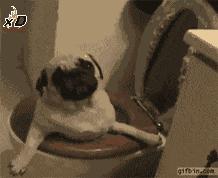 木瓜丰胸科学吗,木瓜能丰胸的五种谎言